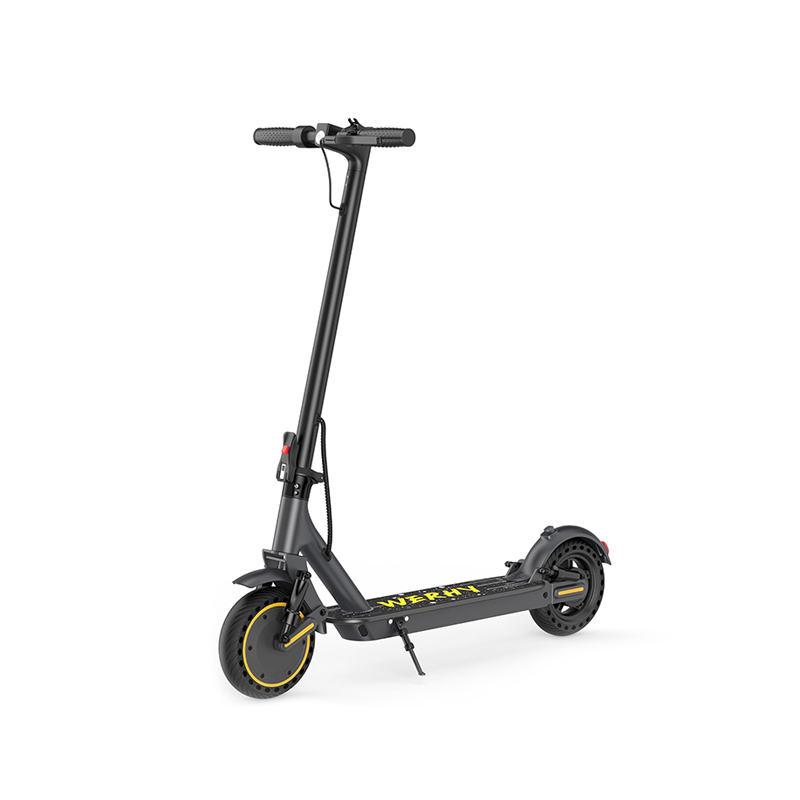 Werhy Speedster Max Performance